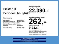 gebraucht Ford Fiesta 1.0 EcoBoost M-Hybrid ST-Line Navi Alu
