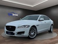 Gebraucht Jaguar XF Prestige 300 PS (220 kW) 2017 Weiß Limousine