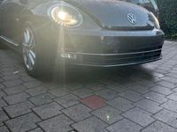 gebraucht VW Beetle Auto