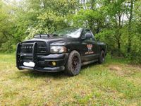 gebraucht Dodge Ram 5.7 Hemi Single Cab Rumble Bee (kein SRT10)