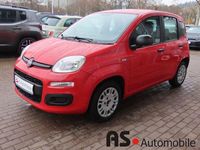 Gebraucht Fiat Panda Easy 69 PS (50 kW) 2017 Rosso amore Kleinwagen