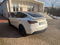 Gebraucht Tesla Model Y Performance 392 kW (534 PS) 2022 Weiß SUV