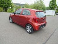 Gebraucht Kia Picanto 67 PS (49 kW) 2019 Bronze Kleinwagen