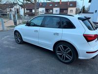 Gebraucht Audi SQ5 340 PS (250 kW) 2017 Weiß SUV