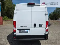 Neu Fiat Ducato 140 PS (102 kW) 2026 549  weiß Van