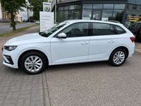 Gebraucht Skoda Scala Selection 116 PS (85 kW) 2024 2y2y moonweiss metallic Kleinwagen