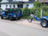 Gebraucht Jeep Wrangler 125 PS (91 kW) 1994 Blau SUV