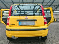 Gebraucht Fiat Panda Active 60 PS (44 kW) 2009 Gelb Kleinwagen