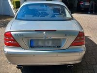 gebraucht Mercedes CL55 AMG AMG