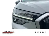 Gebraucht Skoda Kodiaq Selection 150 PS (110 kW) 2025 Grau SUV
