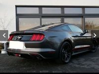 gebraucht Ford Mustang 2.3 EcoBoost Auto - bj 2015