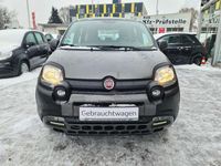 Gebraucht Fiat Panda Cross Cross 69 PS (50 kW) 2023 Grau Kleinwagen