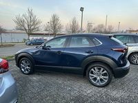 Gebraucht Mazda CX-30 Selection 122 PS (89 kW) 2023 SUV