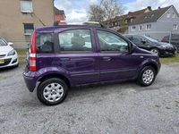Gebraucht Fiat Panda Emotion 60 PS (44 kW) 2010 Lila/violett Kleinwagen