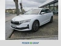 Nowe Skoda Octavia 150 KM (110 kW) 2026 Biały Kombi