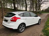 gebraucht Ford Focus 1,0 EcoBoost 74kW SYNC Edition SYNC Ed...