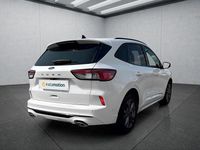 Gebraucht Ford Kuga 150 PS (110 kW) 2020 Weiß SUV