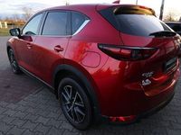 gebraucht Mazda CX-5 L SKYACTIV-G 160 AWD 5T 6GS AL-SPORTS LEDER-W