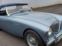 Gebraucht Austin Healey 100 90 PS (66 kW) 1955 Blau Cabrio