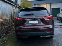 gebraucht Lexus NX300h 