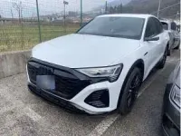 Gebraucht Audi Q8 e-tron 300 kW (408 PS) 2023 Weiß (gletscherweiss metallic) SUV