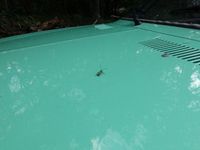 Gebraucht Opel Rekord 75 PS (55 kW) 1976 Grün Coupé