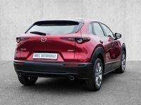 gebraucht Mazda CX-30 Selection 2WD 2.0 SKYACTIV-G M Hybrid EU6d A18 HUD Navi LED ACC El. Heckklappe