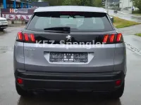 Gebraucht Peugeot 3008 Active 131 PS (96 kW) 2022 Grau SUV