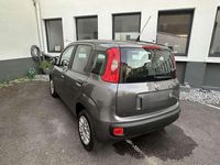 Gebraucht Fiat Panda Easy 69 PS (50 kW) 2017 Grau Kleinwagen