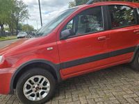 gebraucht Fiat Panda 4x4 New 1.2 8V Climbing,Klima,Navi,euro 4