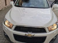 Gebraucht Chevrolet Captiva LTZ 184 PS (135 kW) 2011 Weiß SUV