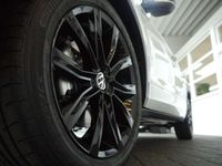 Gebraucht VW T-Roc Business 150 PS (110 kW) 2024 Pure white SUV