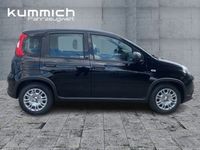 Gebraucht Fiat Panda 69 PS (50 kW) 2024 Schwarz Kleinwagen