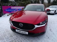 gebraucht Mazda CX-30 SKYACTIV-G 6AG SEL DES ACT NW-Gar. 9/24