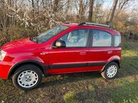 gebraucht Fiat Panda 4x4 