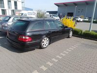 Gebraucht Mercedes E220 170 PS (125 kW) 2007 Schwarz Kombi