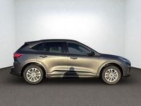 Gebraucht Ford Kuga ST-Line X 190 PS (139 kW) 2023 Grau SUV