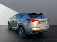 Gebraucht Lexus NX300h E-FOUR 197 PS (144 kW) 2018 Silber SUV