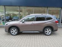 Gebraucht Subaru Forester Platinum 150 PS (110 kW) 2023 Bronze SUV