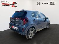 Neu Kia Picanto Vision 68 PS (50 kW) 2025 Blau Kleinwagen