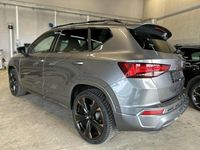 Usata Cupra Ateca 190 CV (139 kW) 2025 Grigio SUV