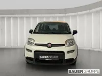 Gebraucht Fiat Panda 69 PS (50 kW) 2023 Weiss) (weiss Kleinwagen