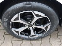 Gebraucht Ford Puma ST-Line 125 PS (91 kW) 2025 Frozen white SUV