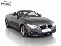 Gebraucht BMW 420 Cabriolet Sport Line 184 PS (135 kW) 2017 Grau Cabrio