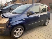 Gebraucht Fiat Panda 69 PS (50 kW) 2013 Blau Kleinwagen