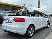 Gebraucht Audi A3 Cabriolet Ambition 160 PS (117 kW) 2010 Weiß Cabrio