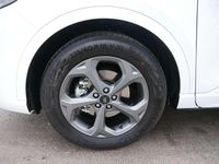 Neu Ford Kuga ST-Line 186 PS (136 kW) 2026 Frozen white SUV