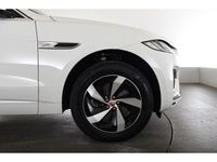 Gebraucht Jaguar F-Pace R-Dynamic 300 PS (220 kW) 2023 Weiss SUV