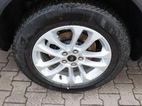 Gebraucht Ford Kuga Titanium 242 PS (177 kW) 2025 Frozen white SUV