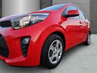 Gebraucht Kia Picanto Edition 7 67 PS (49 kW) 2017 Rot Kleinwagen